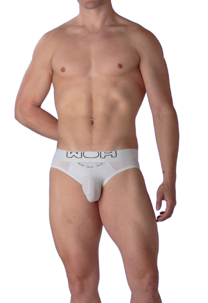 sexy unterwäsche für den mann PLUMES Sexy Mikro Slip Blaugrau | Sexy Männer Unterwäsche