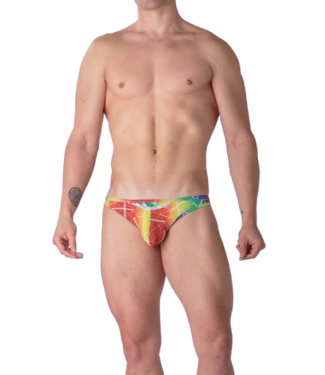 WOH Sexy Fun Micro Briefs Multico Print