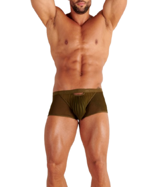 WOH Personal Allure Trunk Olive (Pre-order Mei 2026)