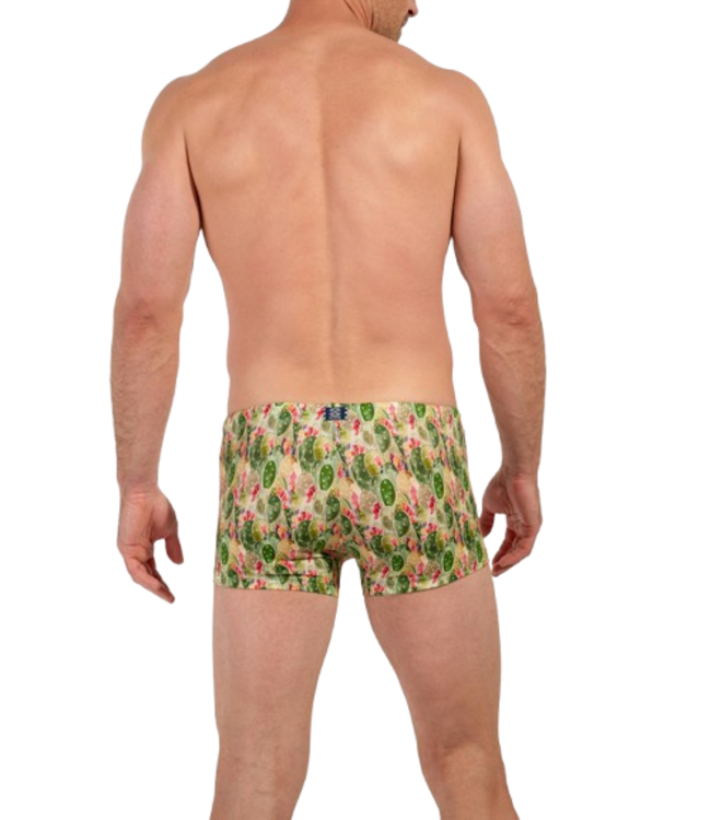 HOM Taormina Swim Shorts Green Print (Pre-order Februar 2026)