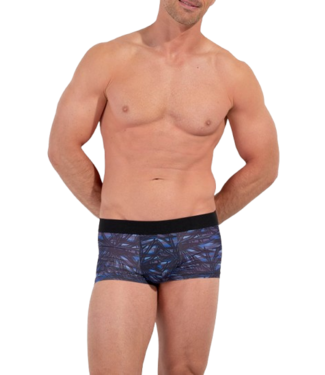 HOM Star Island Trunk Blue Print