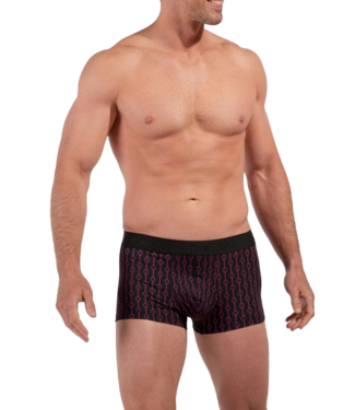 HOM Dunes Trunk Red Print