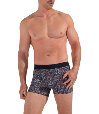 HOM Vineyard Boxer Briefs Navy Print (Pre-order February 2026)
