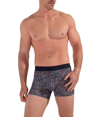 HOM Vineyard Boxer Briefs Navy Print