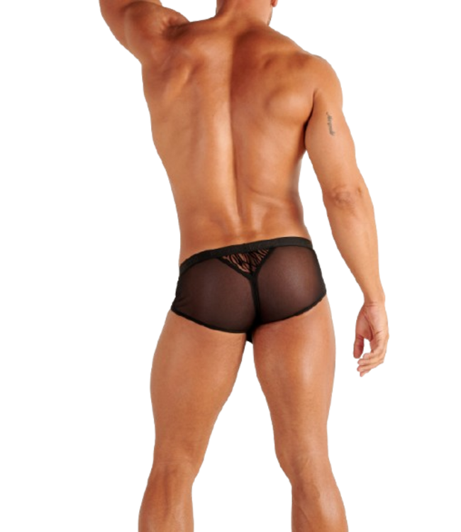 WOH Personal Allure Mini Briefs Black (Pre-order February 2026)