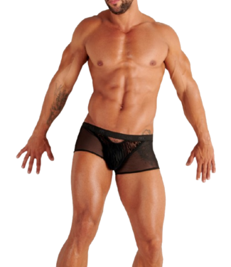 WOH Personal Allure Trunk Black (Pre-order Februari 2026)