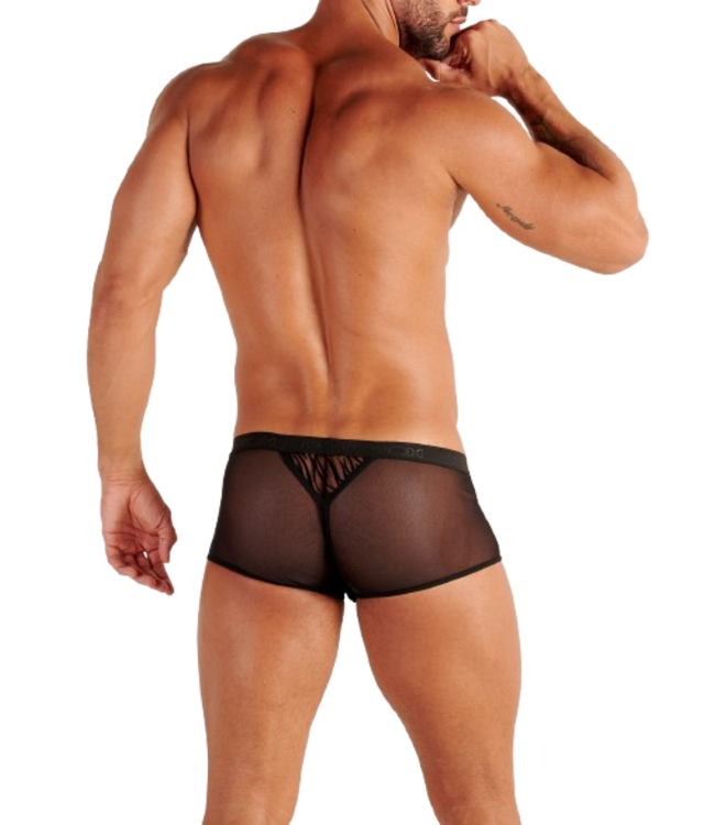 WOH Personal Allure Trunk Black (Pre-order Februari 2026)