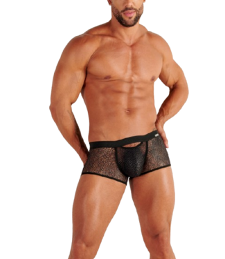 WOH Night Universe Trunk Silver Grey