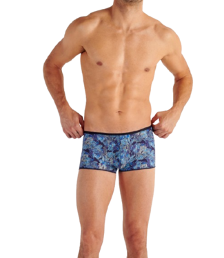 HOM Barrett Trunk Blue Print