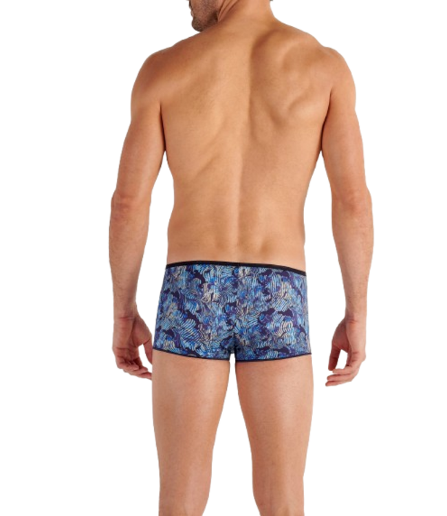 HOM Barrett Trunk Blue Print