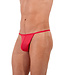 HOM Plumes G-String Red