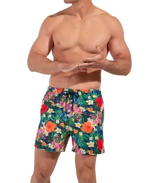 HOM Peacock Beach Boxer Multico Print