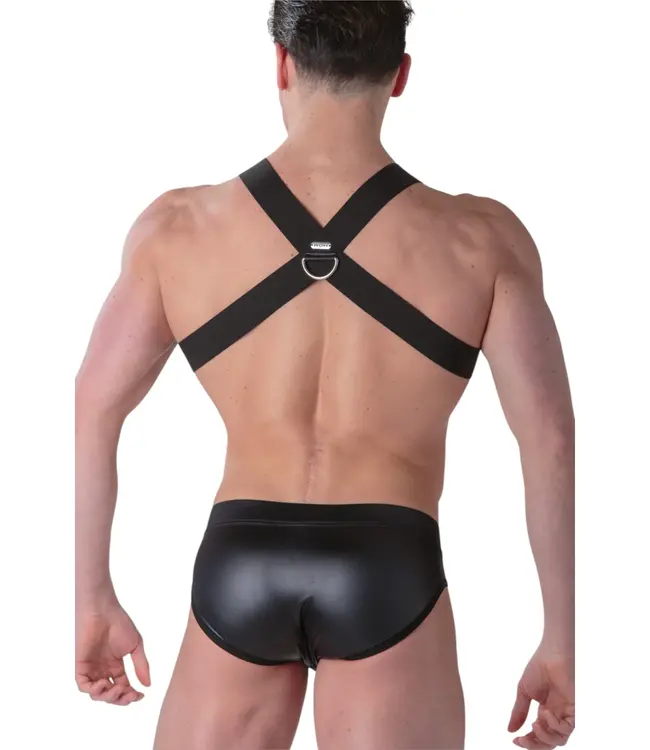 WOH Night Universe Harness Black