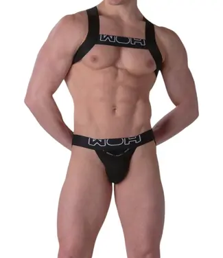 WOH Sexy Fun Harness Black