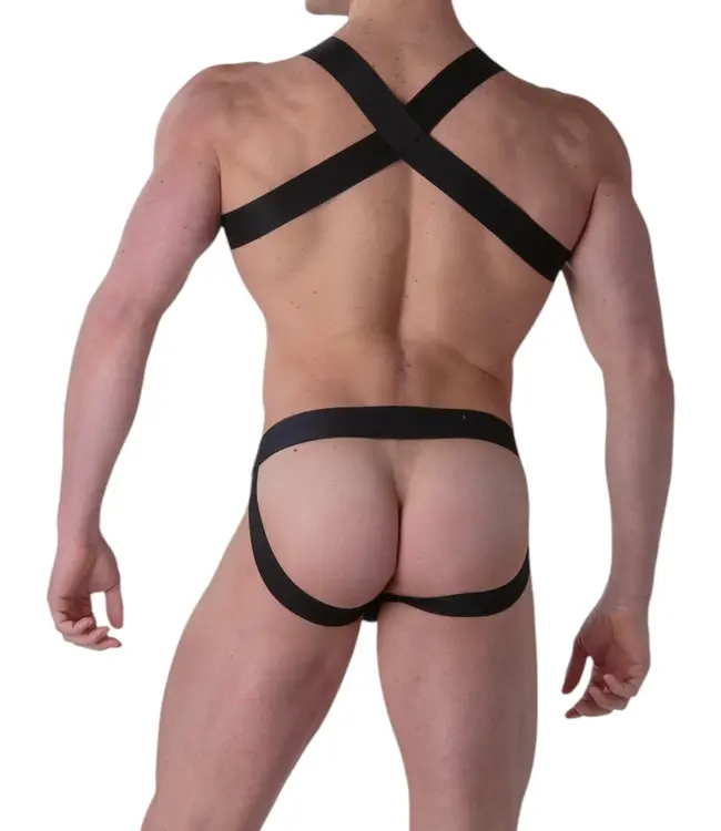 WOH Sexy Fun Harness Black