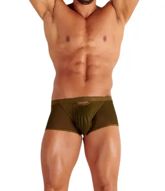 WOH Personal Allure Trunk Olive