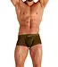 WOH Personal Allure Trunk Olive