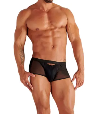 WOH Personal Allure Trunk Black