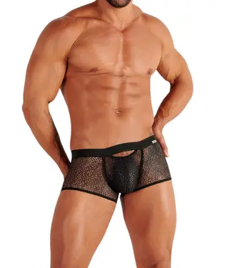 WOH Night Universe Trunk Silver Grey