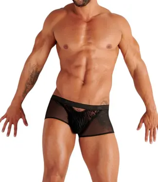 WOH Personal Allure Trunk Black