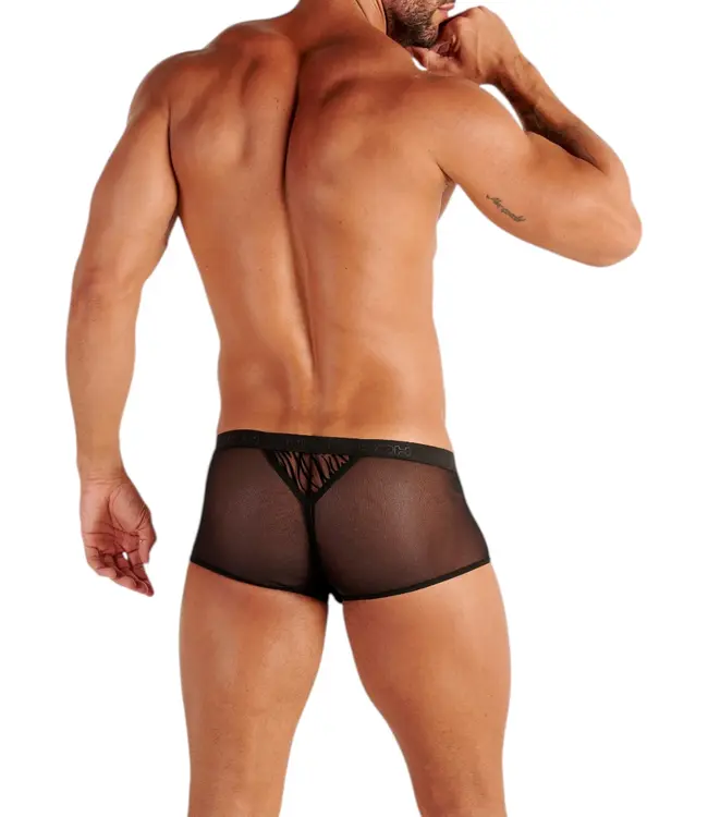 WOH Personal Allure Trunk Black