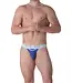 WOH Sexy Fun Tanga Briefs Blue