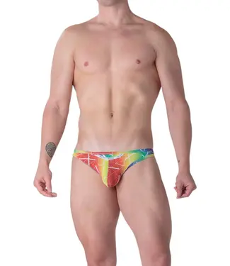 WOH Sexy Fun Micro Briefs Multico Print