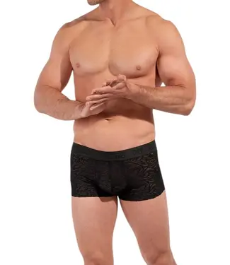 HOM Free Cut Lace Trunk Black