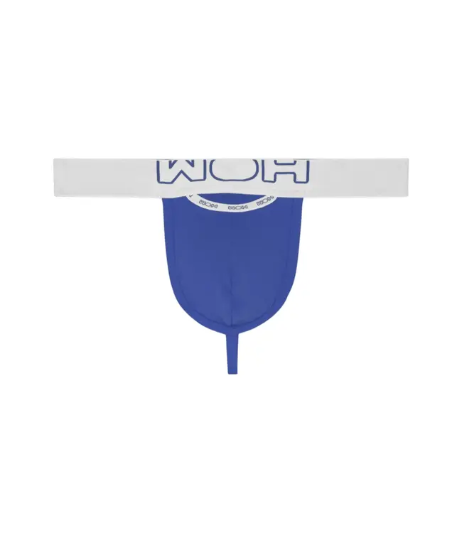 WOH Sexy Fun G-String Blue