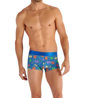 HOM Funky Styles Trunk Blue Print