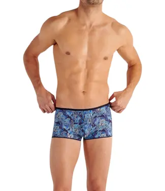 HOM Barrett Trunk Blue Print