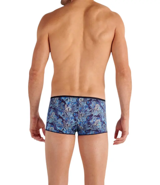 HOM Barrett Trunk Blue Print