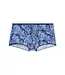 HOM Barrett Trunk Blue Print