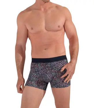 HOM Vineyard Boxer Briefs Navy Print