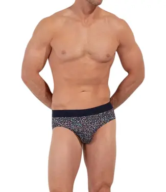 HOM Vineyard Mini Briefs Navy Print