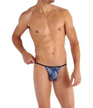 HOM Barrett G-String Blue Print