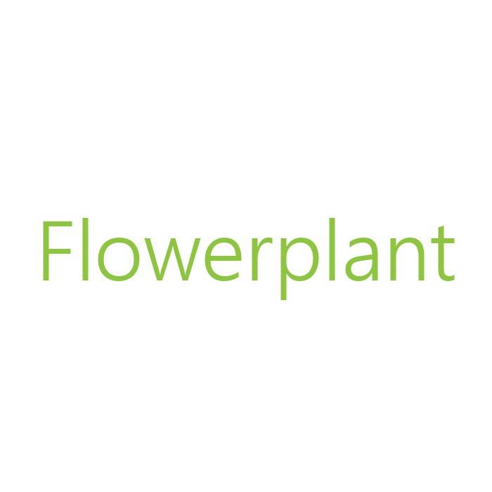 FlowerPlant