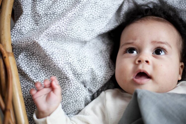 Konges Slojd botanic marshmellow junior duvet cover