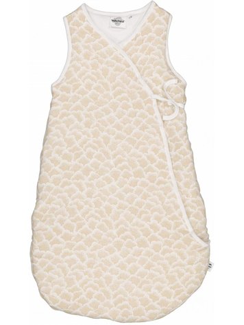 sleeping cotton cactus