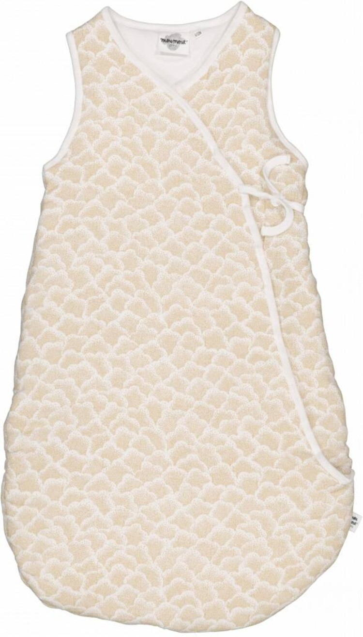 sleeping cotton cactus