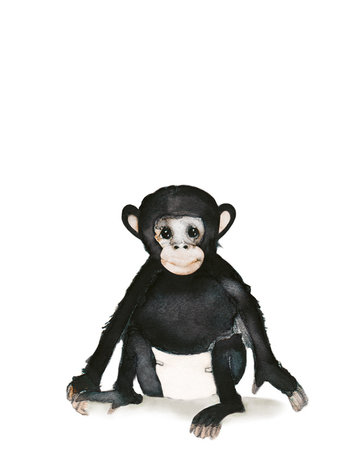 van Dijck Iris van Dijck | Illustratie 'Joe' (baby Chimpansee)