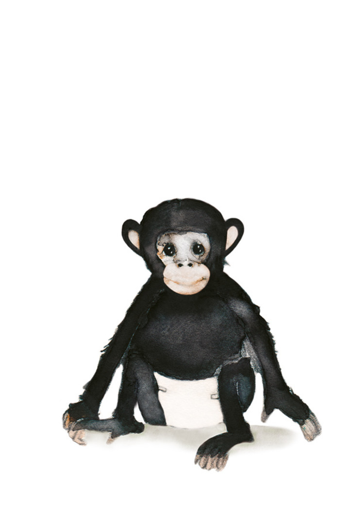 van Dijck Iris van Dijck | Illustratie 'Joe' (baby Chimpansee)