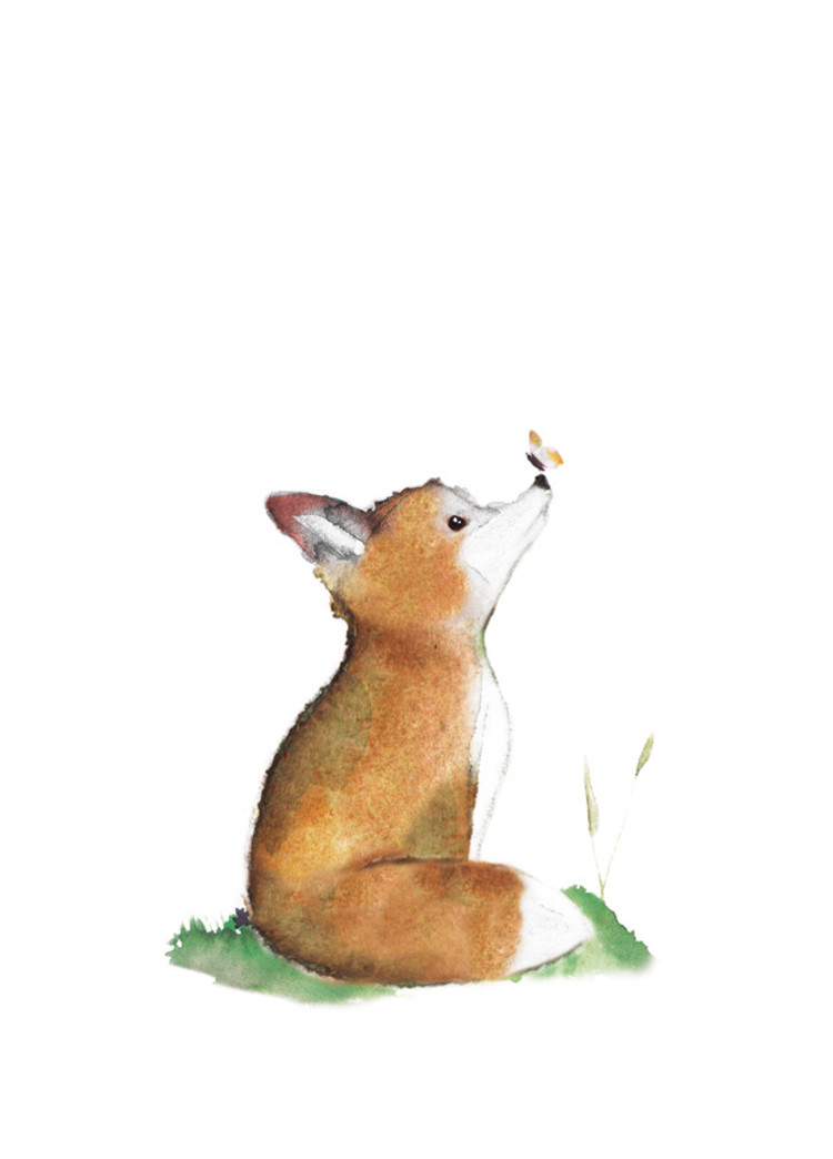 van Dijck Iris van Dijck | Illustratie 'Philippe'