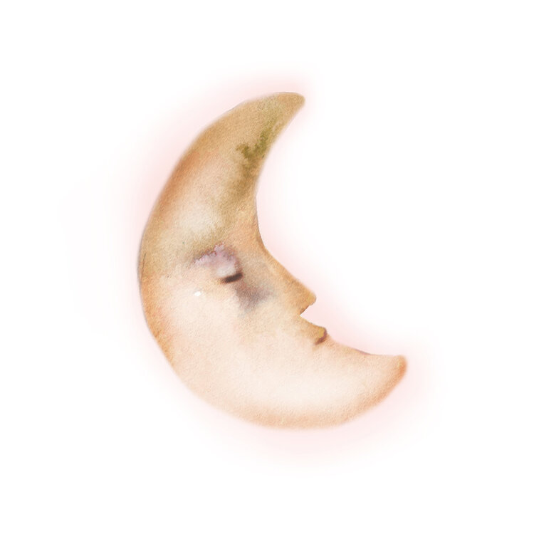 van Dijck Illustration Iris van Dijck 'The moon is sleeping'