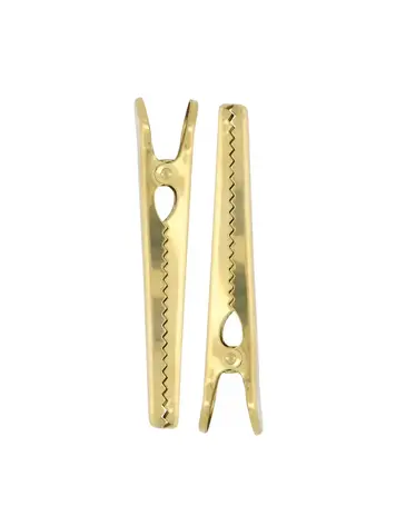 Zusss Zusss | Clips metaal set van 2 goud