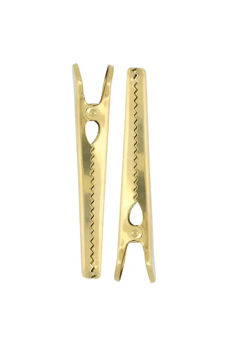 Zusss Zusss | Clips metaal set van 2 goud