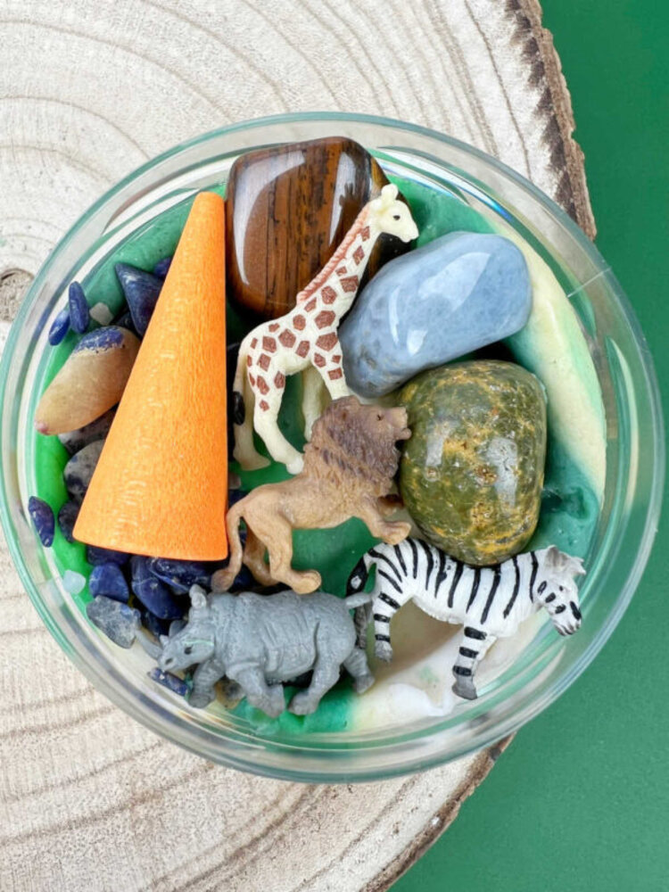 Invitation to Imagine | Safari Surprise Pot