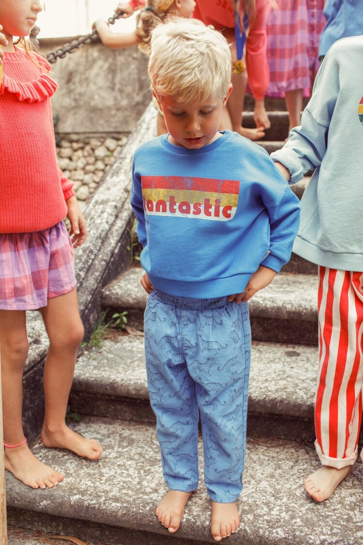 Piupiuchick Piupiuchick | Sweatshirt blue fantastic