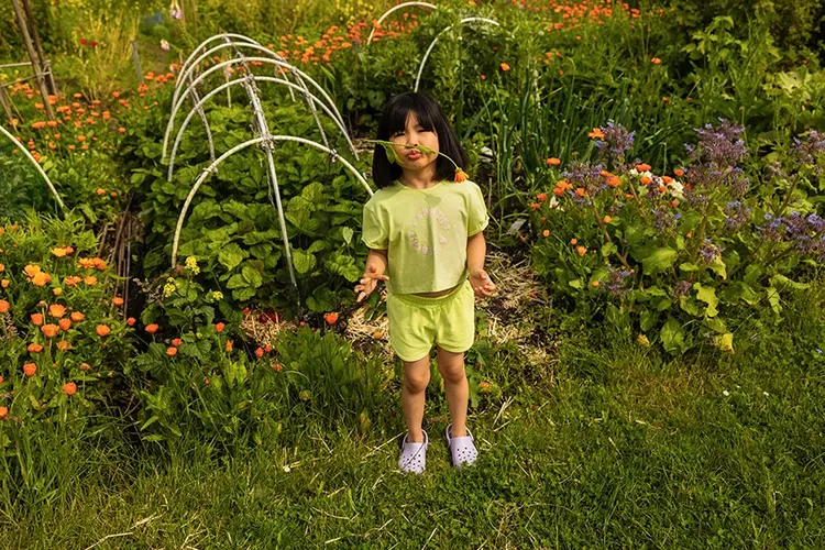 Sproet&Sprout Sproet&Sprout | Top cropped sproet citrus