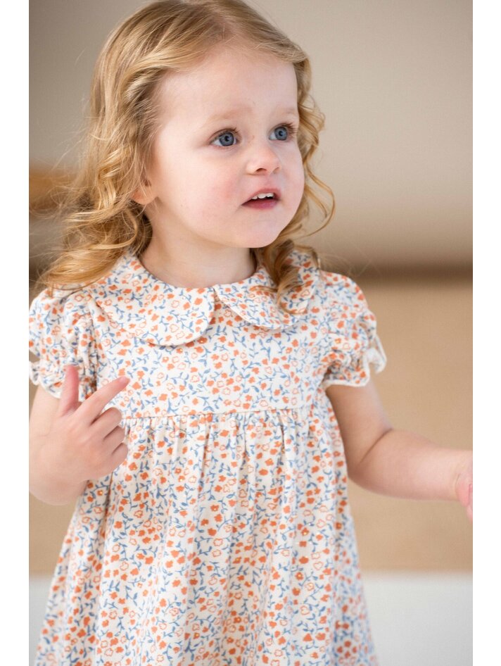 Sweet Petit Jurk Peuter Prenatal Roze Jurkje Baby Babykleding